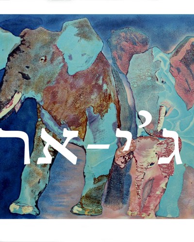 Edwin Salomon ליטוגרפיה-451